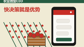 农业微型CEO崛起：为什么农业比互联网更适合一人公司